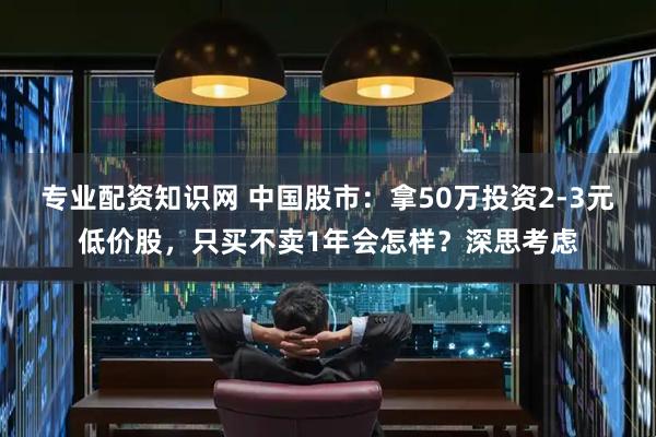 专业配资知识网 中国股市：拿50万投资2-3元低价股，只买不卖1年会怎样？深思考虑