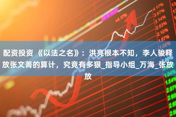 配资投资 《以法之名》：洪亮根本不知，李人骏释放张文菁的算计，究竟有多狠_指导小组_万海_张放