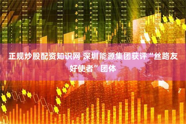 正规炒股配资知识网 深圳能源集团获评“丝路友好使者”团体